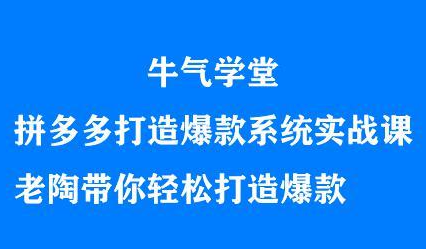 牛气学堂拼多多打造爆款系统实战课，老陶带你轻松打造爆款-优创网