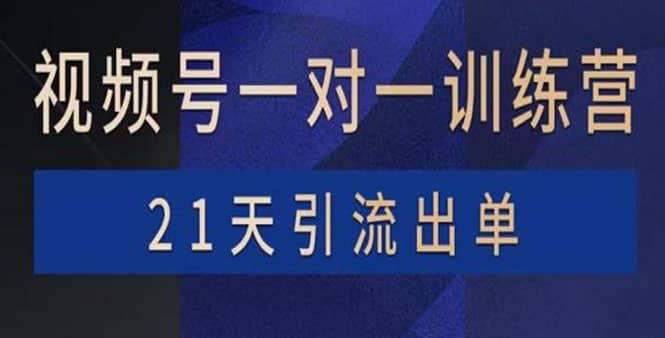 视频号训练营：带货，涨粉，直播，游戏，四大变现新方向，21天引流出单-优创网